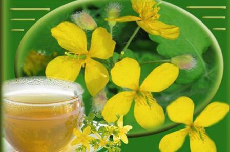 decoction of celandine herb for fungi
