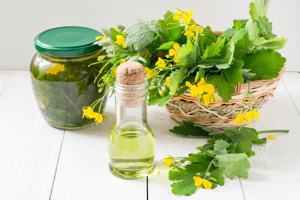Infusion, oil and freshly harvested celandine for nail fungus